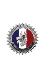 MEDAILLE MAITRE CHIEN